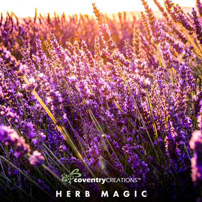 Jan2024 HerbMagic